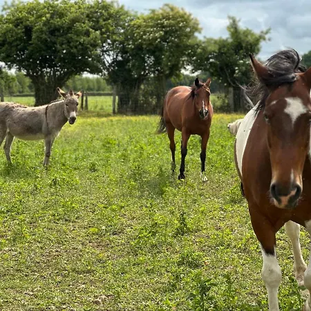 La Maison Poulette *
