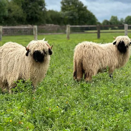 La Maison Poulette Σπίτι διακοπών *