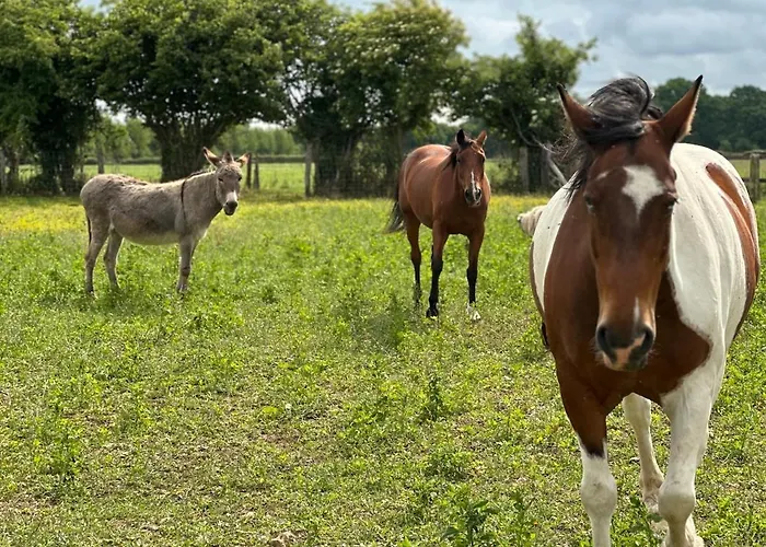 La Maison Poulette *