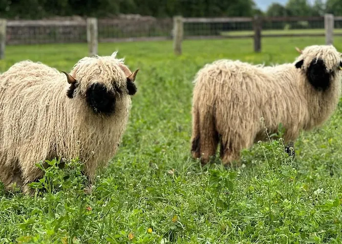 La Maison Poulette Holiday home *