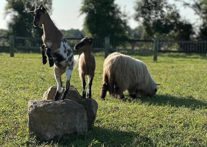 La Maison Poulette Holiday home *